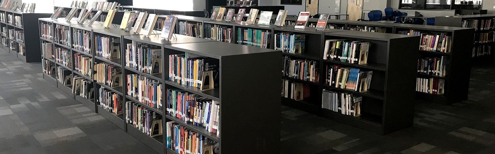 Media Center Bookcases 300